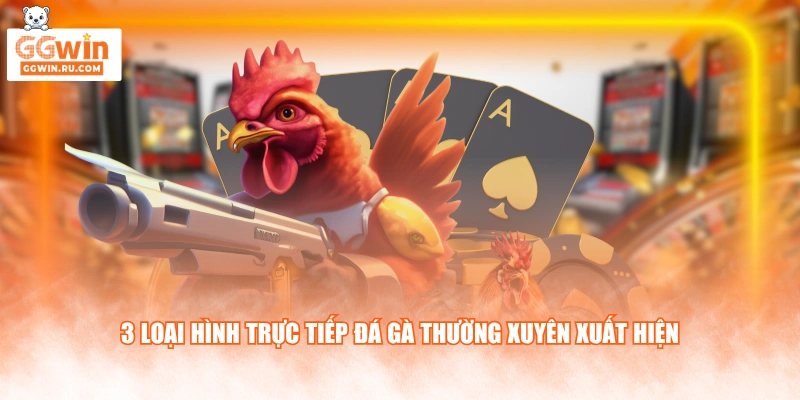 3 loại hình trực tiếp đá gà thường xuyên xuất hiện