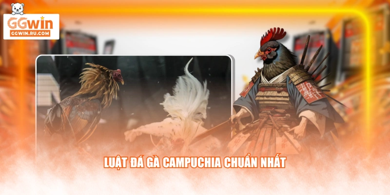 Luật đá gà Campuchia chuẩn nhất