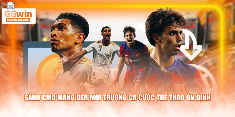 Sảnh CMD mang đến môi trường cá cược thể thao ổn định