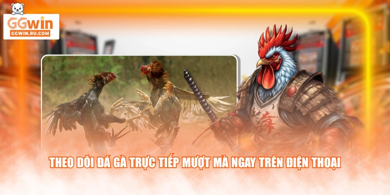 Theo dõi đá gà trực tiếp mượt mà ngay trên điện thoại