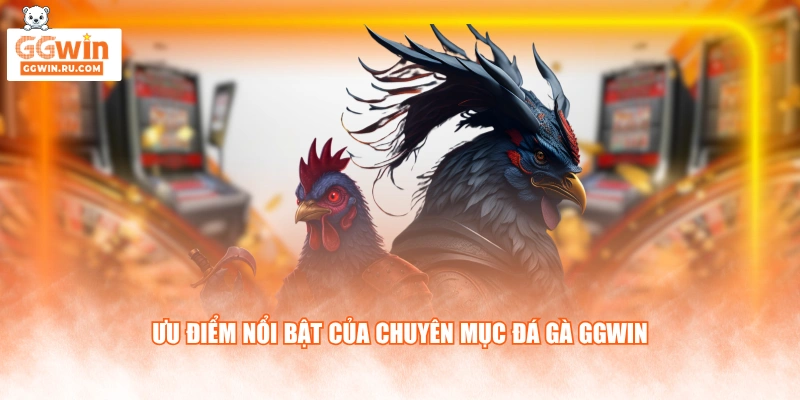 Ưu điểm nổi bật của chuyên mục đá gà GGWIN